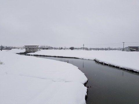 20180211_091257