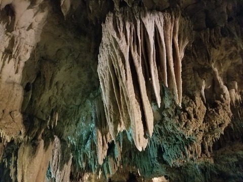 20190202_133054