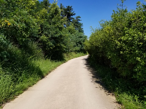 20180715_151847