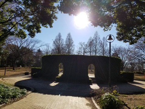 20190102_133341