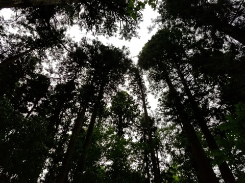20180706_151944