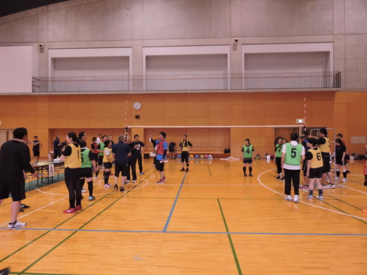 DSCN4381