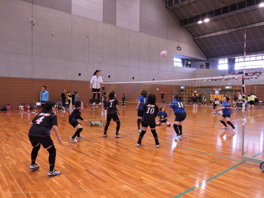 DSCN4676