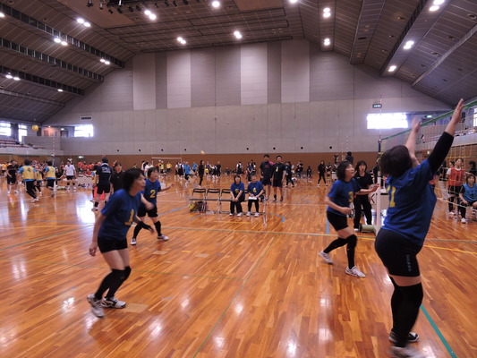 DSCN3766