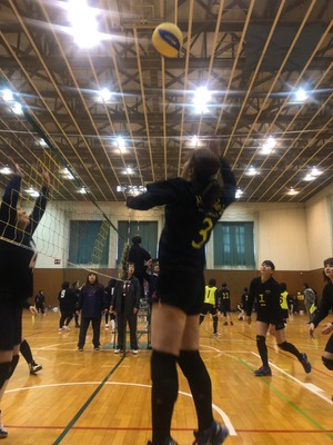 D36