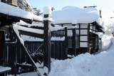 IMG_1952