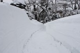 IMG_1959