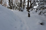IMG_1955