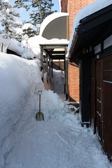 IMG_1951