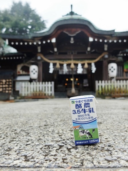やまぐち県酪牛乳を乃木神社で撮ってみた。