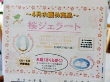 4月のおすすめ商品は桜ジェラート