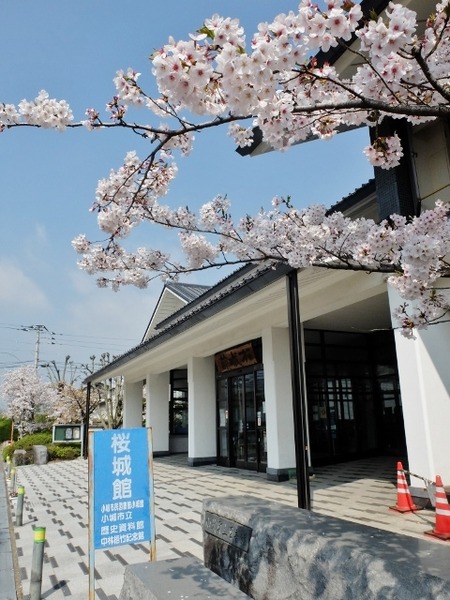 桜城館で調べもの♪