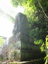 裏には何も書いてありません