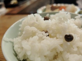 むかごごはん