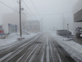 朝の帯広は霧&雪でした。