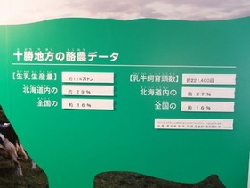 十勝地方だけで国内の16%を生産!