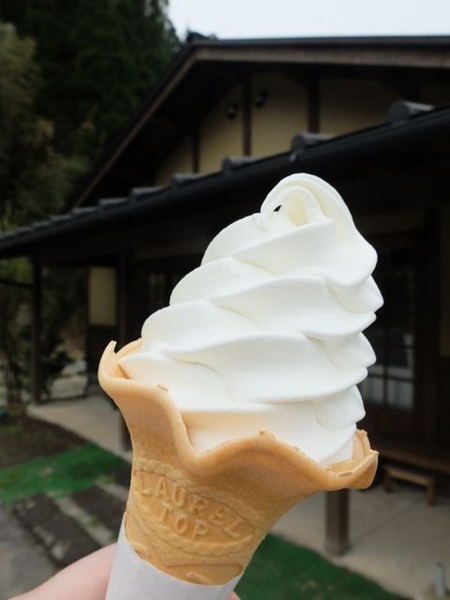 山吹色のジャージー牛乳のソフトクリーム♪