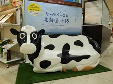 藤丸百貨店