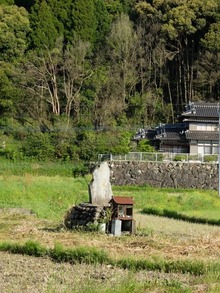 田んぼのなかにある石碑、これ?