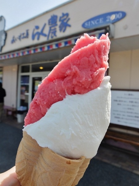 白木牧場特別牛乳のジェラートです♪