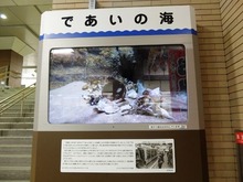 であいの海