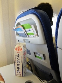 つぶれたらいけないので牛乳パックは機内持ち込みw