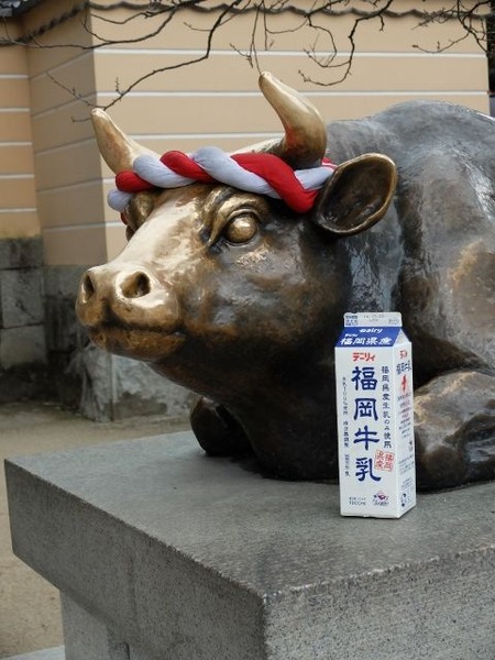 太宰府天満宮で福岡牛乳を撮ってみた。