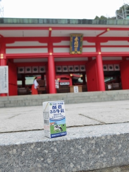 やまぐち県酪牛乳を関門海峡で撮ってみた。