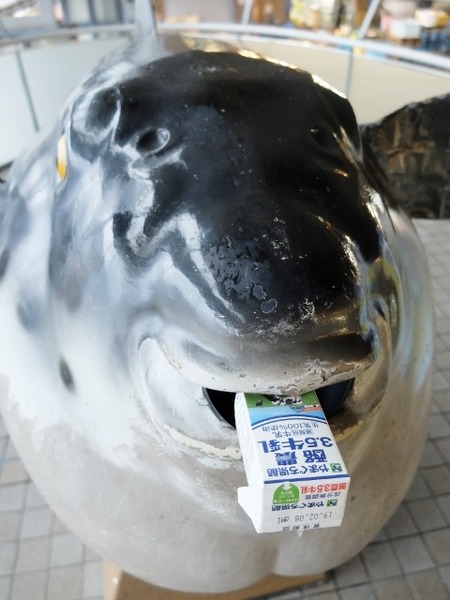 やまぐち県酪牛乳を唐戸市場で撮ってみた。