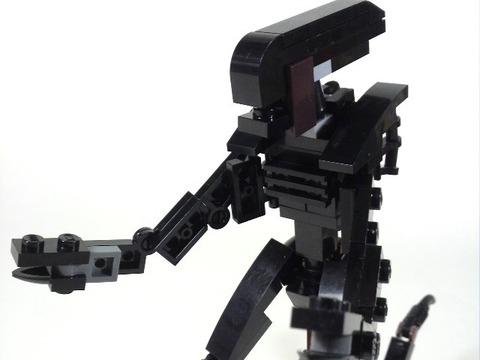 AVP 5