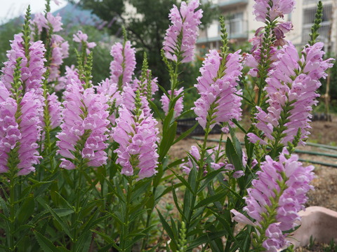 P9230749