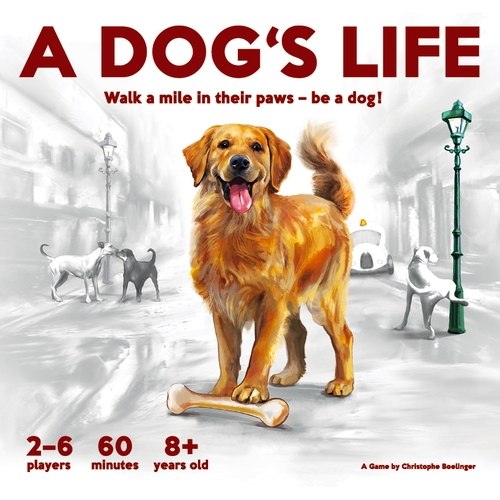 犬の生活