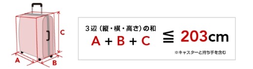 預け荷物の大きさ