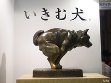 いきむ犬