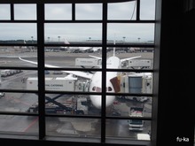 飛行機