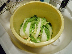 DSCN0871