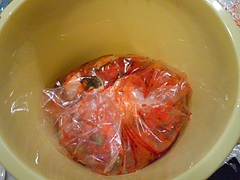 DSCN0888