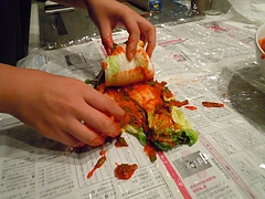 DSCN0879