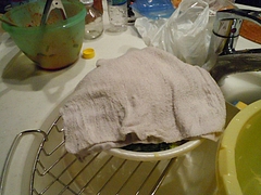 DSCN0861