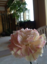 5d3a289c.jpg