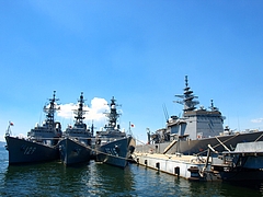 P8103226