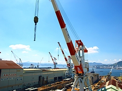 P8103240