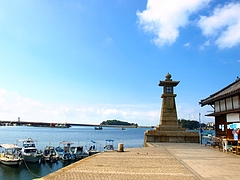 P8103180