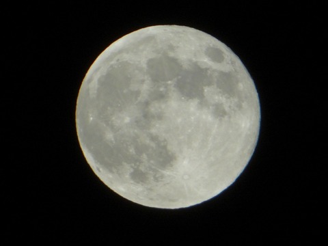 DSC01680