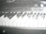 9a801549.JPG