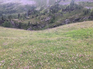 IMG_5711