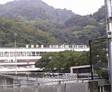 5788b819.jpg