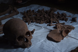 前回、レイテでのご遺骨調査で発見されたご遺骨