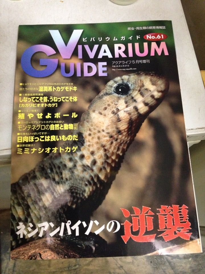 バラ売り不可 ビバリウムガイド 20冊セット バラ売り不可 ビバリウムガイド 20冊セット バラ売り不可