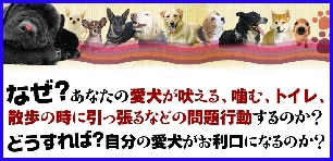 fdog